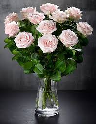 Pale Pink Roses Pink Rose Bouquet Flowers Bouquet Fresh Flower Bouquets