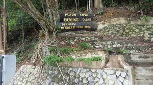 On 6 september 2016, the mount pulai recreational forest 1 was reopened after it was closed for 15 years since 2001 due to mud flood which caused five casualties. Durian Tree Picture Of Pulai Waterfall Johor Bahru Tripadvisor