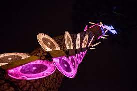Pin On Gardens Of Light