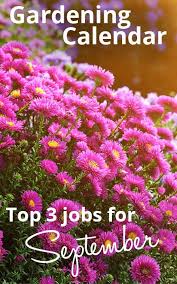 Gardening Calendar The Top 3 Gardening Jobs For September Garden Calendar Autumn Garden Garden Maintenance Schedule