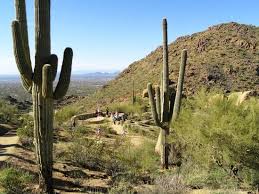 La réserve mcdowell sonoran de scottsdale offre une gamme de fabuleux sentiers désertiques et des. Great Trail Over The Desert Mountain Review Of Pinnacle Peak Park Scottsdale Az Tripadvisor