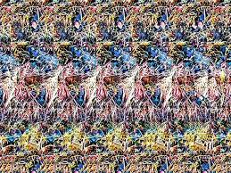 Stereograms Are 3d Images Hidden Within Another Picture In Order To View The 3d Images Simply Stare At The Pictur Magic Eye Pictures Eye Illusions Magic Eyes