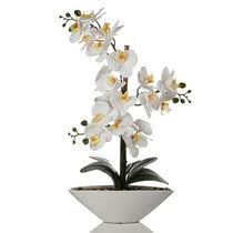 More photoes of silk flowers,silk trees and plants please visit here s996.photobucket.com/user/zhang_micky/libraryor contact us by goodluckzhang2010. Real Touch Orchid Arrangement Wayfair