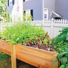 Reader Project Elevated Vegetable Garden Planter Elevated Vegetable Garden Home Vegetable Garden Vegetable Garden Planters