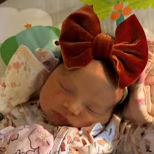 Genuinely conflicted...my partner (male) wants to attend the shower and his  out of town family is coming in including his brother, etc. I don't mind  the idea of a coed shower but