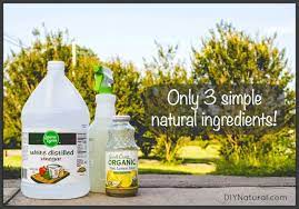 Natural Homemade Wallpaper Remover And How To Use It Homemade Wallpaper Natural Homemade Cleaning Hacks