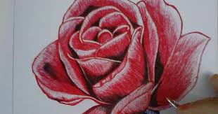 Pin Di Gambar Bunga