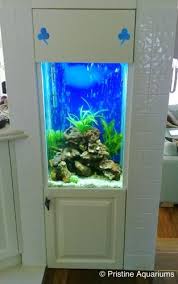Small Aquarium In Wall Fish Tank Wall Cool Fish Tanks Wall Aquarium