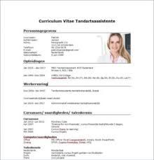 Bekijk hier perfecte cv voorbeelden voor een sterk curriculum vitae. Voorbeeld Cv Tandartsassistent Download Gratis Perfectcv Nl