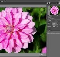 Photo Resizers: 8 Top Picks to Resize Images Losslessly