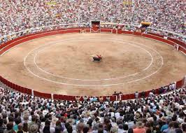 Tauroemoción apuesta por los jóvenes para llenar en Cali | mundotoro.com