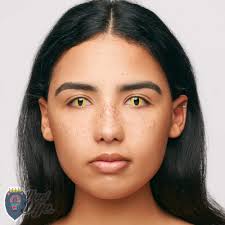 Cat eye contact lenses cat eyes contact lenses. Mesmereyez Fancy Dress One Day Contact Lenses Wild Cat