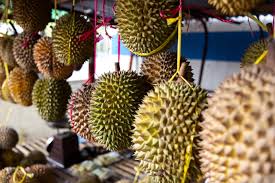 Us dollar and malaysian ringgit. Malaysian Durians Stuck In A Limbo As The Coronavirus Hits The Market Tridge
