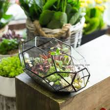 Large Geometric Glass Terrarium Handmade Irregular Planter Indoor Air Plants Holder Window Balco Glass Terrarium Containers Geometric Terrarium Glass Terrarium