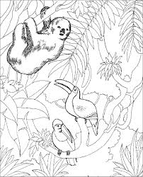 When i set out to create a huge collection of animal coloring pages, little did i realize that over 20 hours later, i'd still be putting the finishing touches on these animal pictures! Coloring Page Of Zoo Animals For Preschoolers Coloringbay