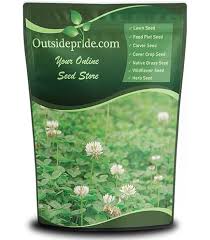 Image result for Aeschynomene cristata