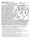 Diagram of parts of a microscope. Animal Cell Diagram Worksheets Teaching Resources Tpt