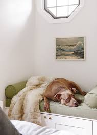 The following are factors you should consider when searching. Dog In Bed