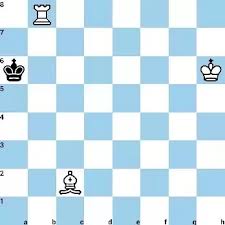Even if i bring the king into the the queen's partner, the king; Is It Possible To Checkmate Using A Rook And A Bishop Without Any Aid From The King Quora