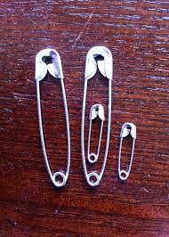 Pin On Winter Rose