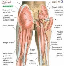 Pin On Chiropractic Wellness