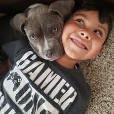 Today, we're honored to share the story of our next #StaffSpotlight,  America Flores, Bilingual Quality Navigator. Let's give America a big round  of applause! After working in early childhood education for 9