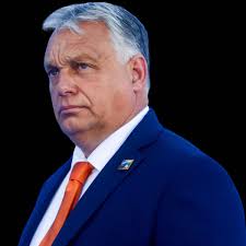 Dr. Anne Mc Closkey (@DrAnneDerry)