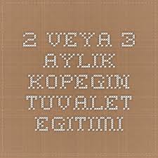 2 Veya 3 Aylik Kopegin Tuvalet Egitimi Egitim Tuvaletler