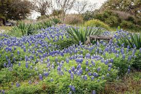 Flower mound is an incorporated townnote 1 located in denton and tarrant counties in the u.s. Parks In Bloom March 2020 Tpw Magazine