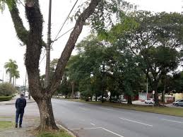 De noite, estava na casa dos 6ºc, com sensação térmica de 4ºc. Frio Intenso Chega Ao Parana E Cidades Registram Sensacao Termica Negativa Bem Parana