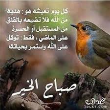اجمل رسائل وصور الصباح 2020 مسجات دعاء صور صباح الخير حبيبيتي 2020 مسجات صباحيه رائعه animals anama bird