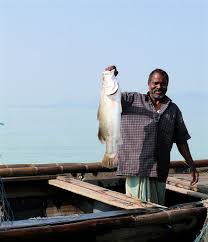 India Orissa Chilika Lake Lake India Photo