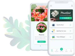 Plantsnap plants a tree for each person flower identification app free. Plant Identification App Plantspot