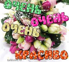 ÐÐ°ÑÑÐ¸Ð½ÐºÐ¸ Ð¿Ð¾ Ð·Ð°Ð¿ÑÐ¾ÑÑ ÐºÐ°ÑÑÐ¸Ð½ÐºÐ¸ Ð°Ð½Ð¸Ð¼Ð°ÑÐ¸Ñ  ÐºÑÐ°ÑÐ¸Ð²Ð¾ Ð±ÑÐ°Ð²Ð¾