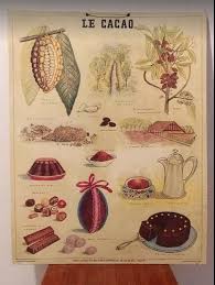 Large French School Deyrolle Poster Cacao Metal Plaque Cacao French School