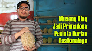 Pencinta durian pasti sudah tidak asing dengan kedua jenis. Dari Musang Queen Sampai Duri Hitam Ada Di Aka Durian Tasikmalaya