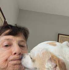 Meeting daily point goals