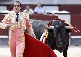 Image result for ivan fandiño