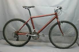The xc bianchi frames are built to offer maximum power transfer combined with stability and precise handling. 1996 Bianchi Denali Mtb Bike Large 19 5 Hardtail Deore Xt Rock Shox Usa Charity Ebay