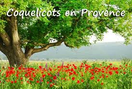 Check spelling or type a new query. Coquelicots En Provence Provence 7