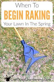 When To Rake Your Lawn In The Spring Get Busy Gardening Modern Design In 2020 Spring Lawn Care Spring Grass Care Lawn