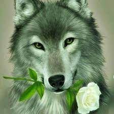 ﻧﺼﻴﺤــﺔ ﻣــﻦ ﺻﻔﻌــﺎﺕ ﺍﻷﻳــﺎﻡ ﻻﺗﺘﺤﺪ ﺇﻧﺴﺎﻧﺎ ﻟﻴﺲ ﻟﺪﻳﻪ ﺷﺊ ﻳﺨﺴﺮﻩ ﻣﻦ ﻳﺬﻫﺐ ﺇﻟﻰ ﻭﻟﻴﻤﺔ ﺍﻟﺬﺋﺐ ﻳﺠﺐ ﺃﻥ ﻳﺼﺤﺐ ﻛﻠﺒﻪ ﻣﻌﻪ dog tattoo wolf pictures beautiful wolves