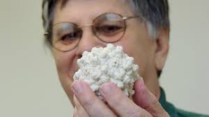 For Disease Therapies, UF Professor Headed To Hall Of Fame