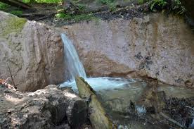 Maybe you would like to learn more about one of these? Manistee River Trail Mesick 2021 What To Know Before You Go With Photos Tripadvisor