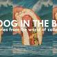Hot Dog in the Bayou: Stories from the World of Collage