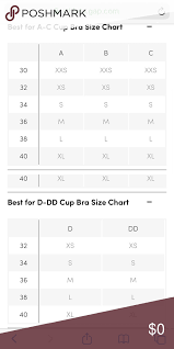 Athleta Sports Bra Size Chart Bra Size Charts Size Chart Sports Bra Sizing