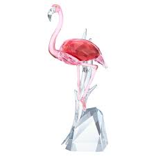 Flamingos are one of the most interesting types of animals in the coloring for a flamingo ranges from various shapes of pink all the way to a crimson red. Flamingo Swarovski Com