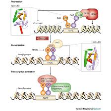 2021 cancer horoscope for career indicates an excellent period for professionals. The Promise Of Retinoids To Fight Against Cancer Nature Reviews Cancer