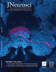 The preclassic, classic and postclassic periods; Regulation Of Myelination By Exosome Associated Retinoic Acid Release From Ng2 Positive Cells Journal Of Neuroscience