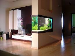 Art Of Aquarium Timeline Photos Wall Aquarium House Design Home